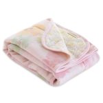 Burt's Bees Baby - Reversible Blanket, Nursery, Stroller & Tummy-Time Organic &