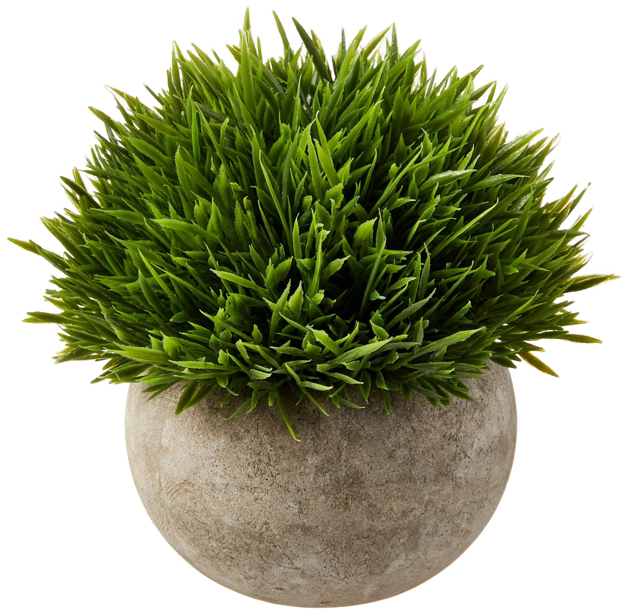 aa57070e6ca2b72f7dfa0bd45f0e8ecd0bd01d255a51ed7340b15b5a0ba692a9.jpg Ogrmar Mini Plastic Artificial Plants Grass in Pot/Small Artificial Faux Greenery/Mini Plants Topiary Shrubs Fake Plants for Bathroom, House - Image 1