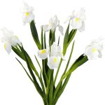 FiveSeasonStuff Iris Flower | Flowers Artificial for Decoration | Wedding Bridal Home Kitchen Party D��cor | 6 Real Touch Long Stems (23.6����) | Real