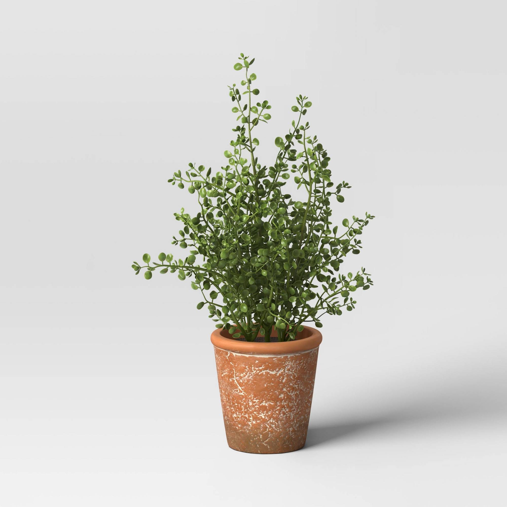 aaac333f75a12690b15d1b2827c45f427401056379134f8c653317b9d4fa8876.jpg 16" Unsheared Boxwood Artificial Plant - Threshold Designed with Studio McGee - Image 1