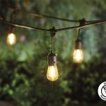 Portfolio 27-ft 10-Light Plastic-Shade Solar Bulbs LED String Lights