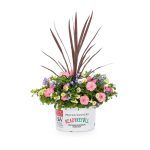 Ready Refill Bermuda Skies in 1.5-Gallon (S) Pot | Nursery