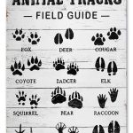 CrazySign Animal Tracks Field Guide Sign Log Cabin Wall Decor, Forest Hunting Decor, Boy Nursery Decor 8 x 12 inch (211)