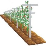 Mrgarden 7-Feet Adjustable Garden Trellis Set for Raspberry and Climbing Plants, Outdoor Stake Vineyard Trellis, Pack of 2