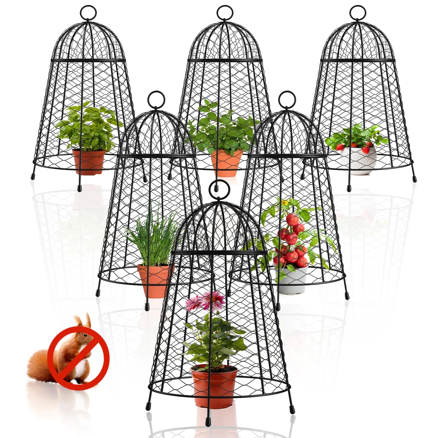 af73f0b8dc1c95e2ecfe12421df0ddb6074fbfc4d7d3f50809bbefc88d16a093.webp Yolid Garden Cloches for Plants Set of 6. Chicken Wire Cloche Plant - Image 1