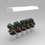 Honeywell 30-Watt LED Full Spectrum Plant Grow Light