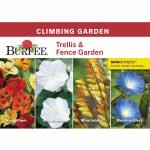 Burpee Trellis & Fence Garden Starter Garden Flower Seed Collection - 1 Pack