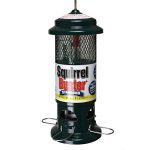 Squirrel Buster Standard Bird Feeder