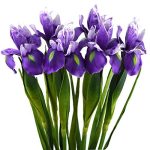 FiveSeasonStuff Iris Flower | Flowers Artificial for Decoration | Wedding Bridal Home Kitchen Party D��cor | 6 Real Touch Long Stems (23.6����) | Real