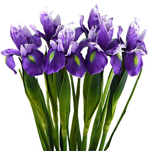 b4520beb10a16ff68cb71bfcf295d2bb89336833549b219bbaf01b4bbe0bb722.jpg FiveSeasonStuff Iris Flower | Flowers Artificial for Decoration | Wedding Bridal Home Kitchen Party D��cor | 6 Real Touch Long Stems (23.6����) | Real - Image 1