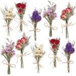 VAIPI 10 Pack Dried Flower Forget Me Not Bouquets Natural Dried Flower with Stem Dried Embossing Flower Bundles Artificial Flower Dried Floral Arrang