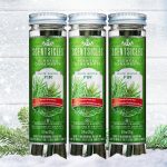 Scentsicles White Winter Fir Scented Ornaments with Hooks - 3 Bottles (18 Sticks Total)