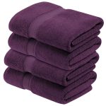 Superior Egyptian Cotton Plush Absorbent 4-pc Bath Towel Set ,Plum