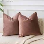 JUSPURBET Jam Soft Velvet Throw Pillow Covers 22x22 Set of 2,Decorative Solid Cushion Cases for Couch Sofa Bed