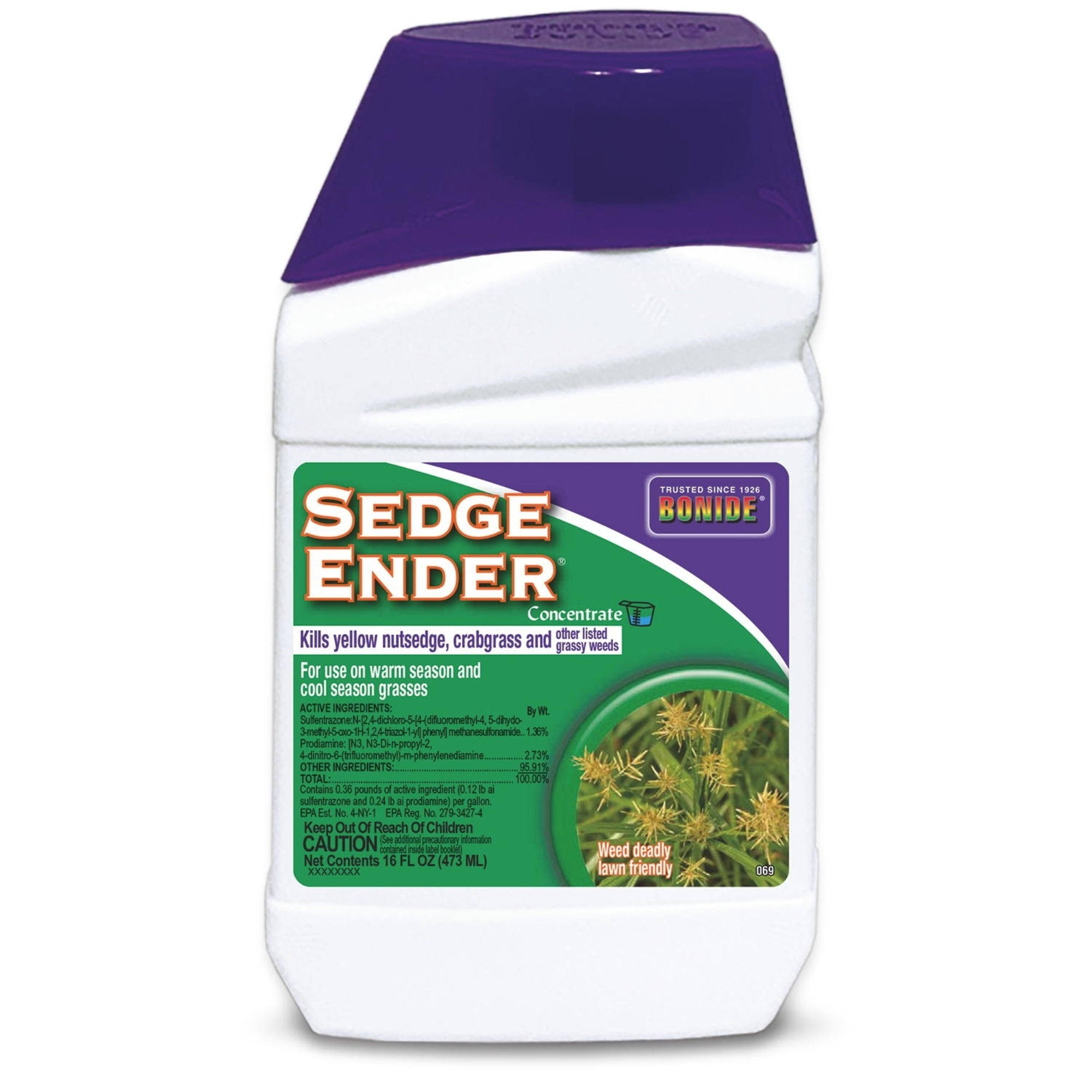Bonide Sedge Ender Nutsedge Killer Concentrate 16 oz.