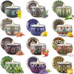 YFYTRE 12 Pack Scented Candles Gifts Set for Women, 2.5 oz Soy Wax Aromatherapy Candles for Home Decoration, Long Lasting Tin Jar Candles for