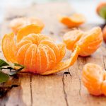2-3 ft. - EasyPeel Clementine Tree - Sweet, Seedless & Easy Clementine, Outdoor Plant