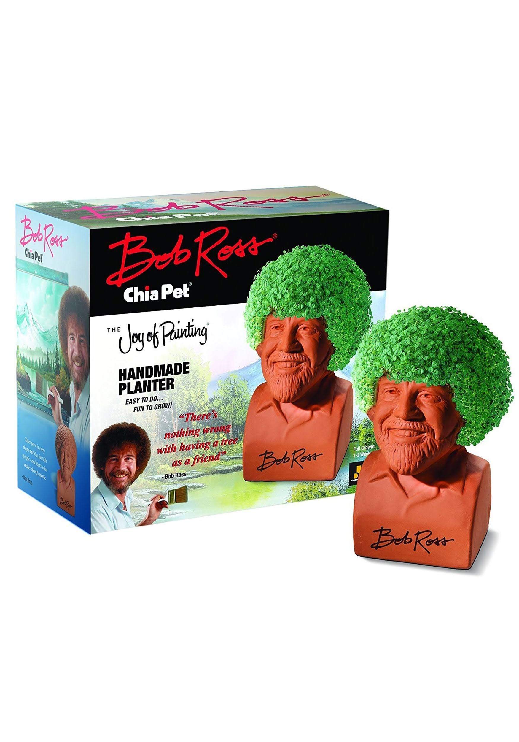 c210d1a60e1b2e39b25723f2ea130a8d5c4d039d5f760ff9db7736228eef8406.jpg As Seen on TV Chia Pet Bob Ross Planter - Image 1
