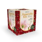 Degroot AY912A00 Amaryllis Flower Gift Box Bulb Kit