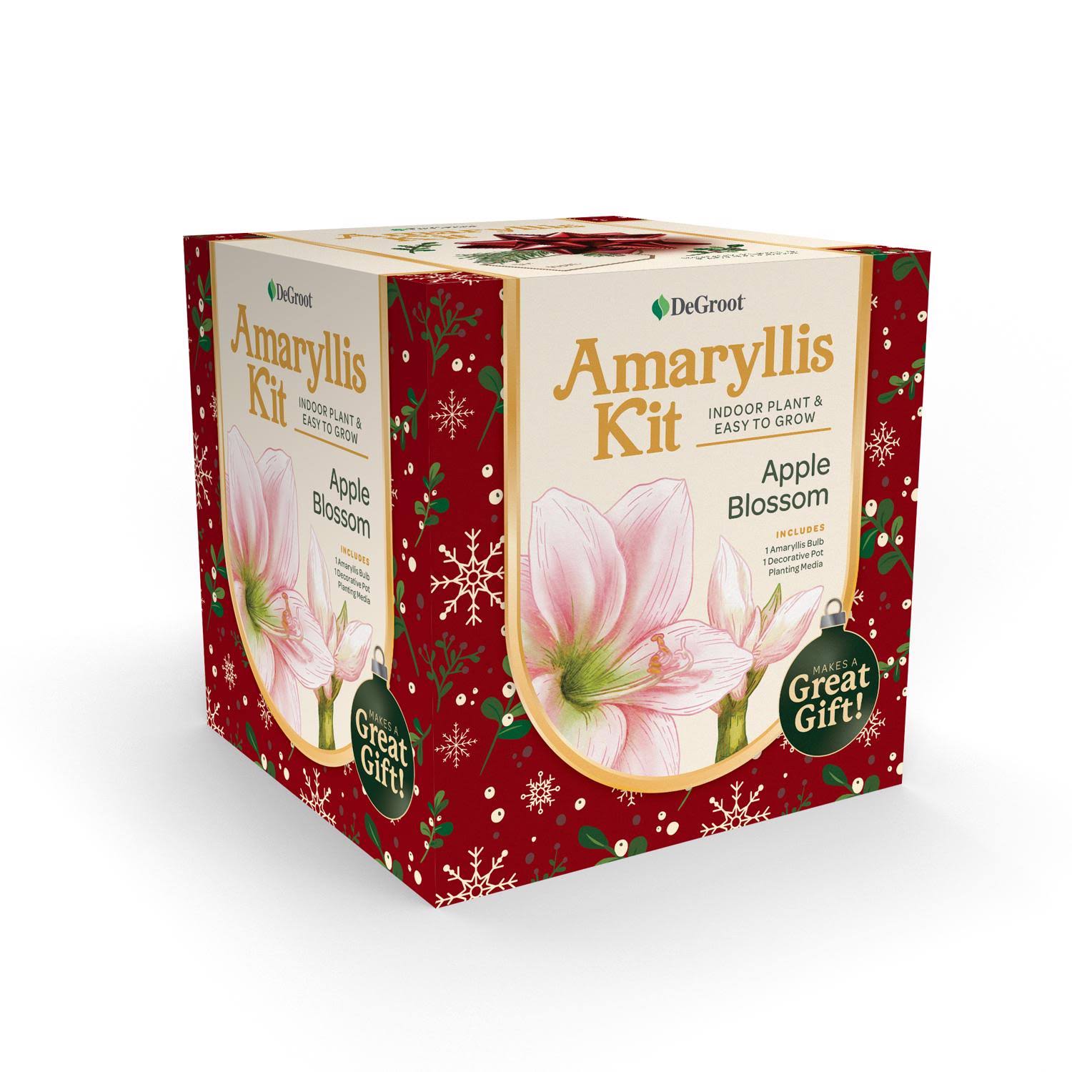 c348affcb57fa1acd5ec3540242a56bf5c0b03fe256a456af219140acf69f913.jpg Degroot AY912A00 Amaryllis Flower Gift Box Bulb Kit - Image 1