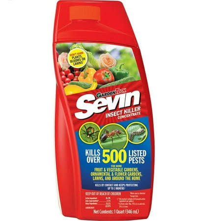 c3c6390f161b1366f87131fc69d8e1df61673376e8f23ef960424fed57cace4b.jpg 32oz Concentrate Outdoor Insect Killer, Green - Image 1