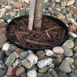 Plantbuddy | Landscape | Edging | | Decorative Protective Ring for Plants | Keeps Rocks Out, and Mulch in | Black | 8"...
