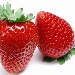 Hirt's Gardens Eversweet Everbearing Strawberry 25 Bare Root Plants - Super Sweet