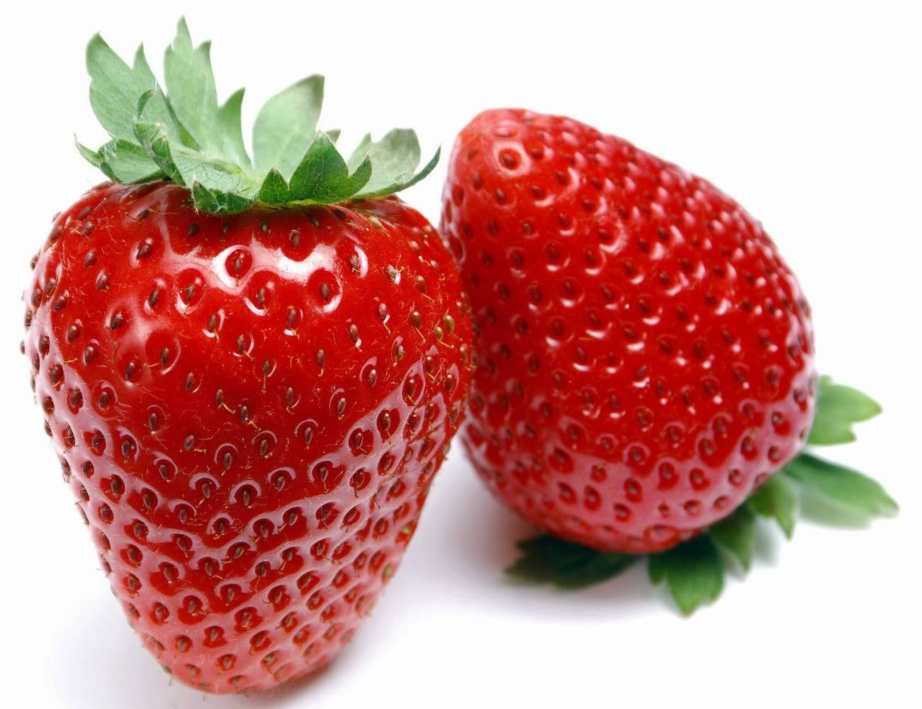 c79f05f5fc64666ac74c90563099561a517a7adccccea77230feffc788fb799e.jpg Hirt's Gardens Eversweet Everbearing Strawberry 50 Bare Root Plants - Super Sweet - Image 1