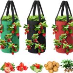 Grow Bags 3 Gallon for Strawberry Vegetables 12 Planting Holes, Sturdy Hanging Handle Thickened Breathable Felt Cloth, Plant Grow Bag for CA