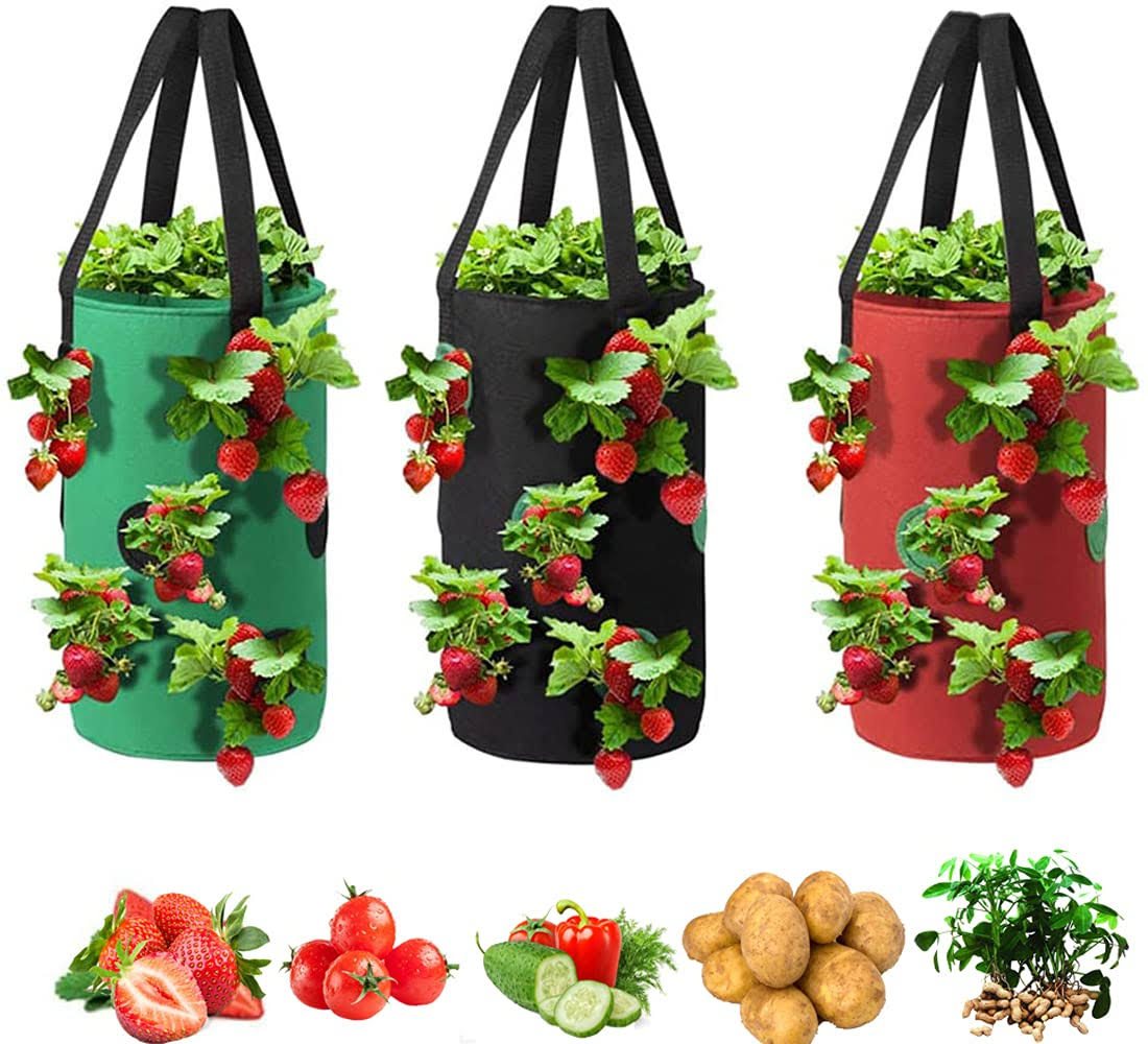 c8d708a7ad4bf9ca28a070f23ade6b2b333c9c2b6526072357520ea42c8fa2cd.jpg Grow Bags 3 Gallon for Strawberry Vegetables 12 Planting Holes, Sturdy Hanging Handle Thickened Breathable Felt Cloth, Plant Grow Bag for CA - Image 1