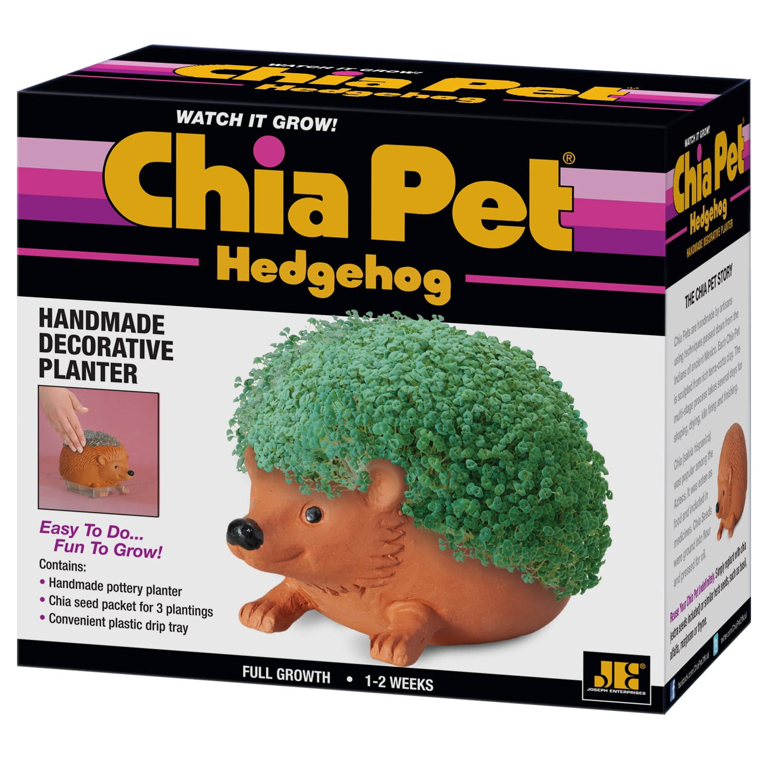 caebd5f6340a5e592af49beb7d7e5563b61d6e45a43af1d35cbc9b8170367615.jpg Hedgehog Chia Pet Decorative Planter - Image 1