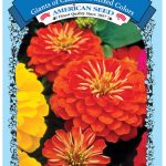NS American Seed Flower