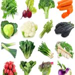 Sunutri Seeds Winter Vegetable Seeds Variety Pack 16 Heirloom Seed Kit 6500+ Seeds Arugula Beet Broccoli Cabbage Cauliflower Carrot Celery Chard Kale