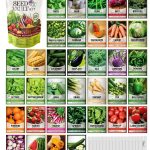 Survival Vegetable Seeds Garden Kit Over 16,000 Seeds Non-GMO and Heirloom