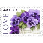 2010 Love Purple Pansy 44¢ First-Class Postage Stamps. Love & Celebration Floral Design