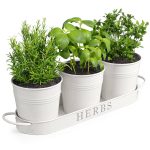 Barnyard Designs Herb Pot Planter Set with Tray for Indoor Garden or White
