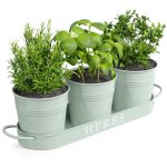Barnyard Designs Indoor Herb Garden Planter Set with Tray, Metal Windowsill Plant Pots with Drainage for Outdoor or Indoor Plants, Mint, Set/3