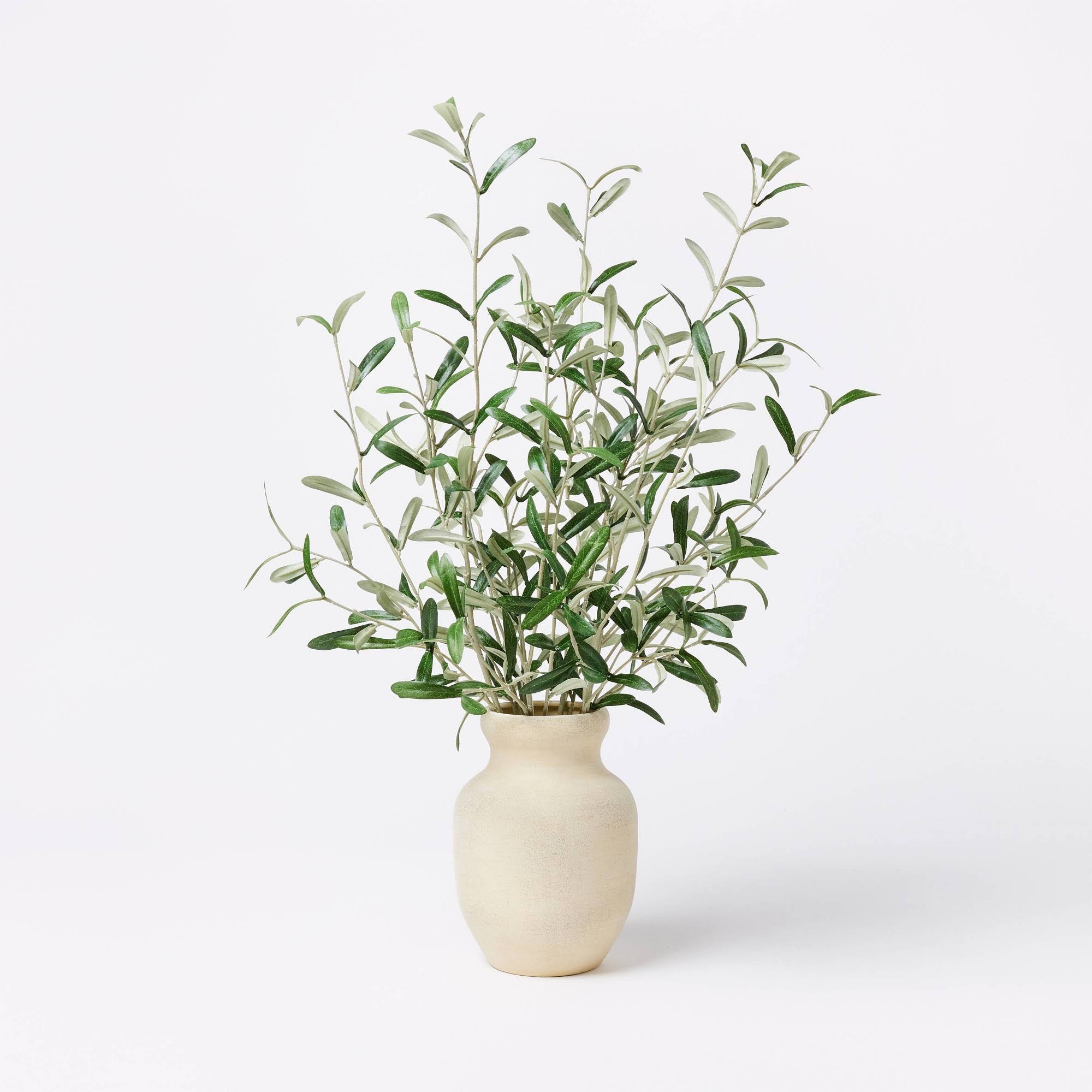 d2409b503f4fd6d3089240fdb778fef3a620eee037c3fc79d3370db1e4a8185b.jpg Artificial Olive Leaf Arrangement - Threshold Designed with Studio McGee - Image 1