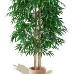 Maia Shop Bamboo, Artificial Tree with Natural Canes, Made with The Best Materials, Ideal for Home Decoration, Artificial Plant 5 Feet Tall - 60 inch