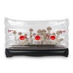 Mushroom Monotub Kit, Home Inflatable Mushroom Grow Kit - Save Your Mushroom Grow Bags