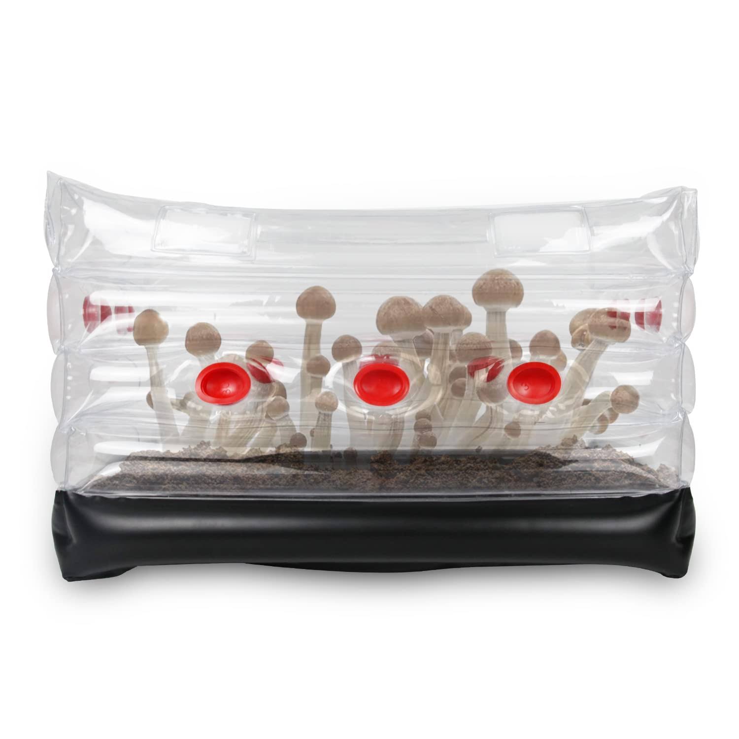 d3fb845163d71d13cad6c9be748debc43646f427869f986d90d68a886bffca33.jpg Mushroom Monotub Kit, Home Inflatable Mushroom Grow Kit - Save Your Mushroom Grow Bags - Image 1