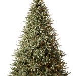 Balsam Hill 6.5ft Prelit Classic Blue Spruce Artificial Christmas