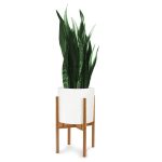 Fox and Fern Adjustable Plant Stand, Green