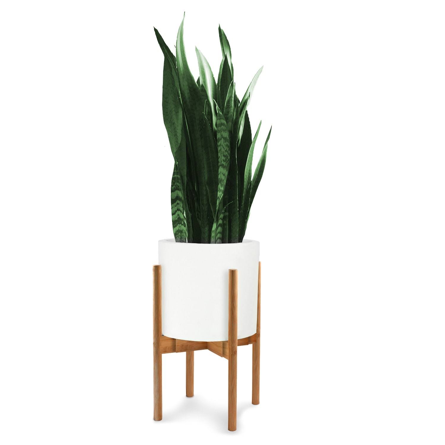 d4b8f32d167fc79ed1f7d25b638a6a15b3ba3a72e266746f6c589402e59e5e97.jpg Fox and Fern Adjustable Plant Stand, Green - Image 1