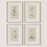Wall Art Botanical Plant Prints | Vintage Flower Boho Minimalist Floral Artwork Neutral Decor for Bedroom, Living Room, Bathroom, Home or Office