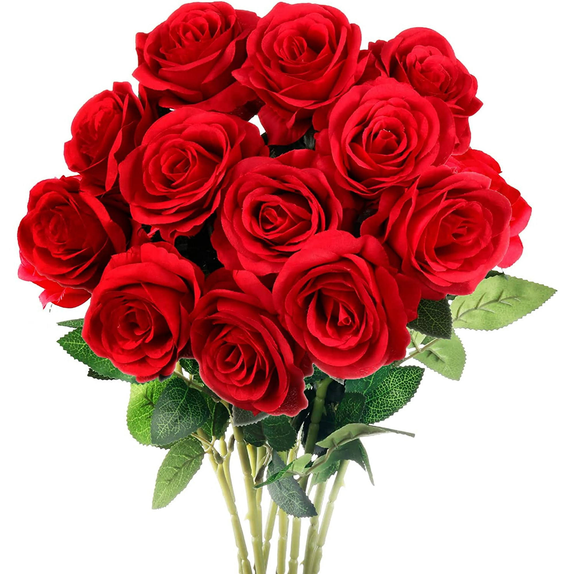 d6b79a203d5aa42f605eb3b6654a10a9602a3f656dfbf8cec6d36584b8a5dc72.jpg Mocoosy 12pcs Fake Roses Artificial Flowers Red Roses with Long Stems Realistic Faux Silk Rose Bouquets for Wedding Decorations Bridal Shower - Image 1