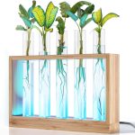 Light Up Bamboo Vial Air Planter - Plant Lover Easter Gifts for Women, Best Indoor Gardening House Warming Gift Ideas, Office New Home Decor, Mom,