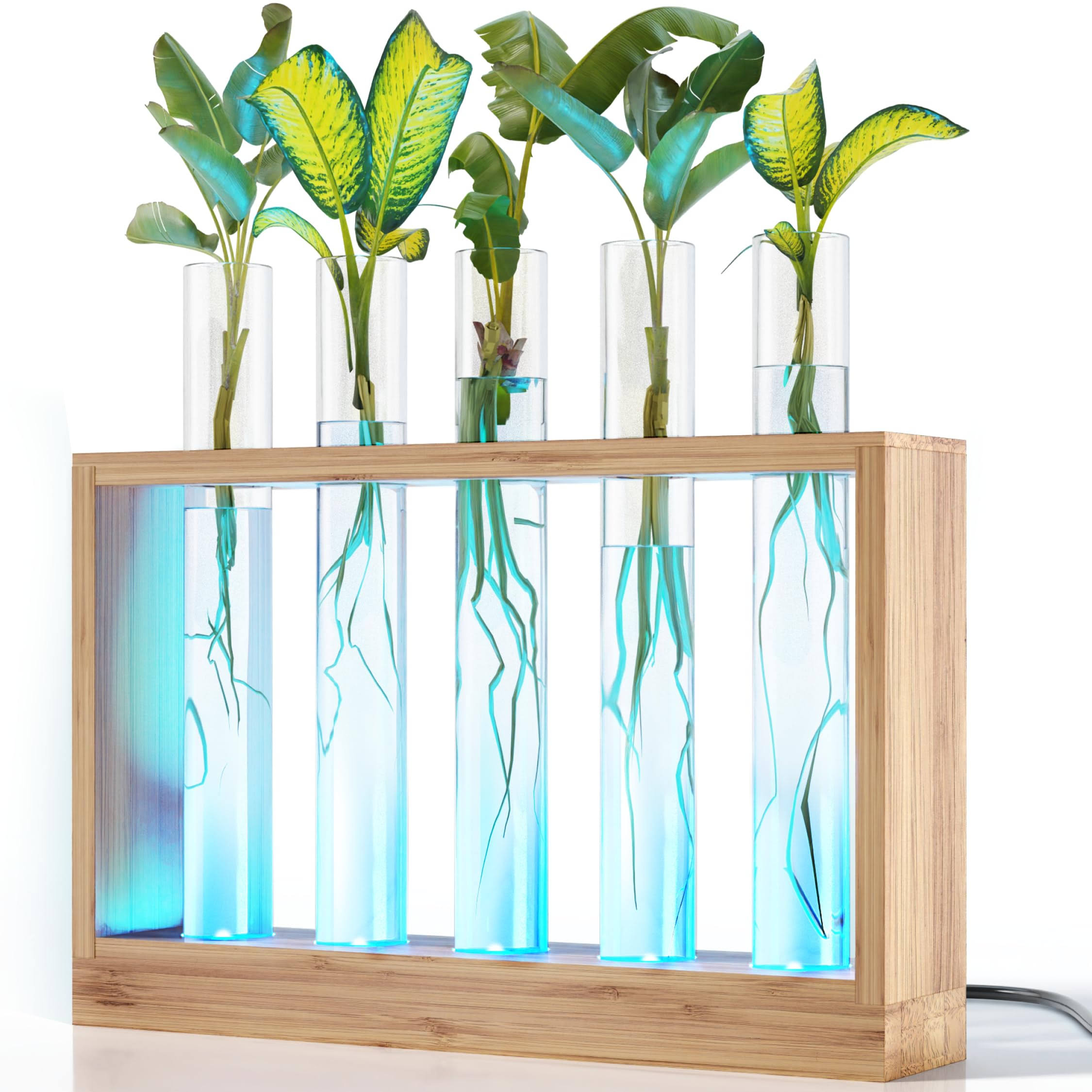 d743b5cace2081cd94e1ccdf6d482e06ea0d51ae3bf4d7f3526e2862d5926e41.jpg Light Up Bamboo Vial Air Planter - Plant Lover Easter Gifts for Women, Best Indoor Gardening House Warming Gift Ideas, Office New Home Decor, Mom, - Image 1