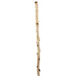 Ashland Natural River Birch - Each