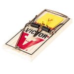 (12 Pack) Victor M205 Easy Set Rat Trap with Cheese Pedal